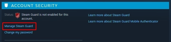 How to protect your Steam account