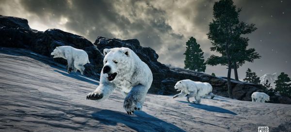 Locations of bear caves on Vikendi Reborn